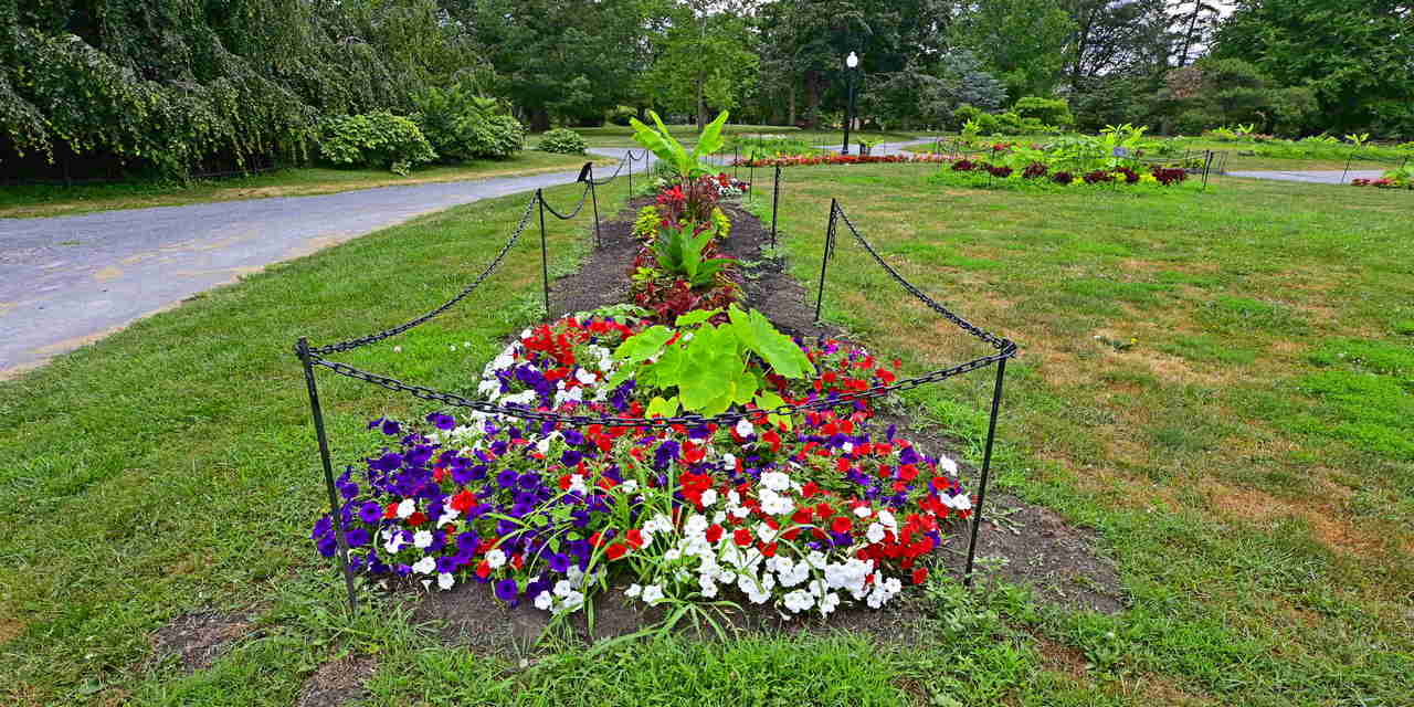 Rise and Shine: Tuesday, Aug. 19, 2025