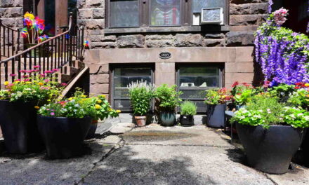 Rise and Shine: Wednesday, Aug. 13, 2025