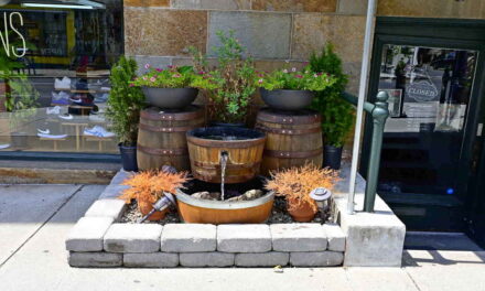 Rise and Shine: Tuesday, Aug. 12, 2025