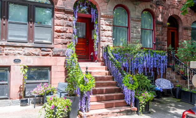 Rise and Shine: Friday, August 8, 2025