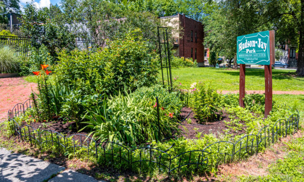 Rise and Shine: Monday, Aug. 11, 2025