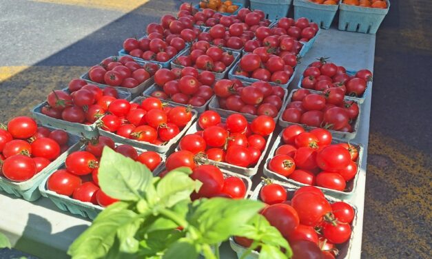 Rise and Shine: Thursday, Sept. 4, 2025