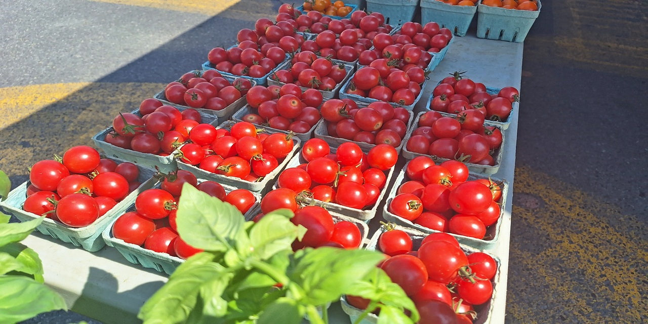 Rise and Shine: Thursday, Sept. 4, 2025