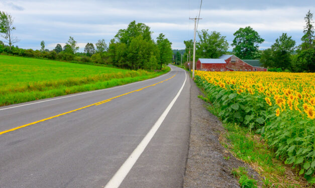 Rise and Shine: Wednesday, Sept. 17, 2025