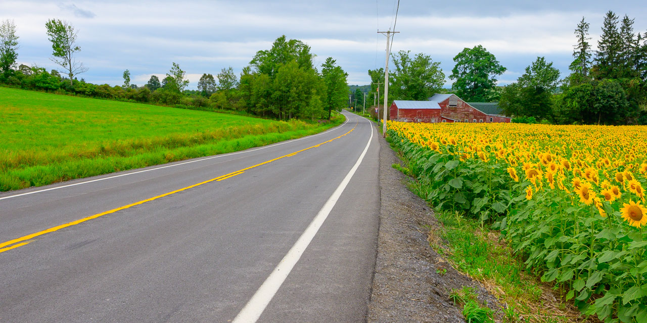 Rise and Shine: Wednesday, Sept. 17, 2025