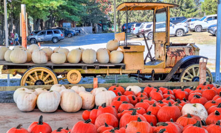 Rise and Shine: Monday, Sept. 29, 2025