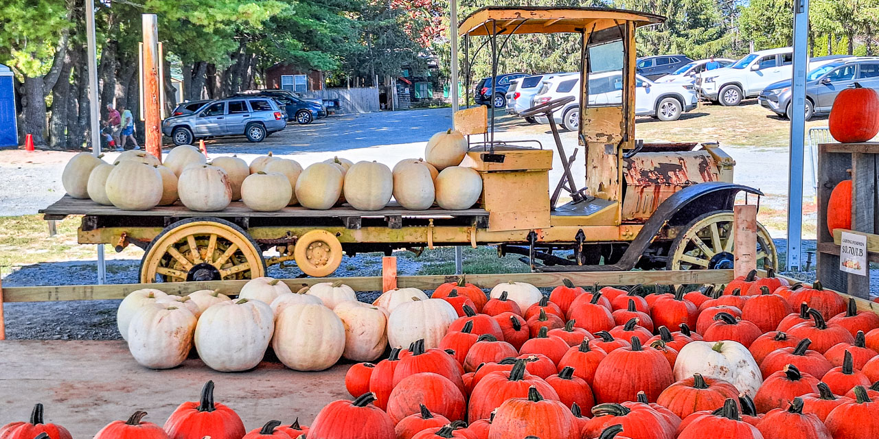 Rise and Shine: Monday, Sept. 29, 2025