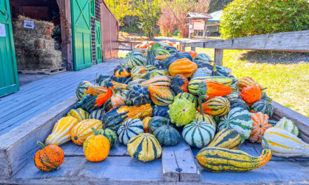 Rise and Shine: Wednesday, Sept. 24, 2025