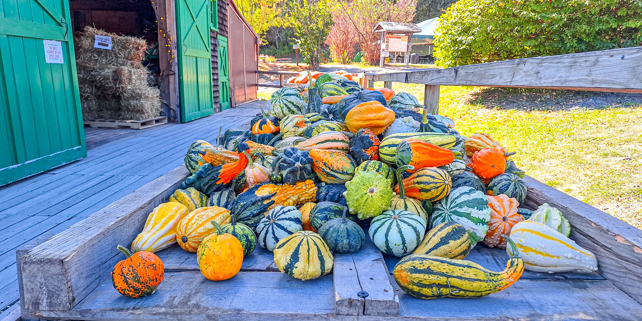 Rise and Shine: Wednesday, Sept. 24, 2025