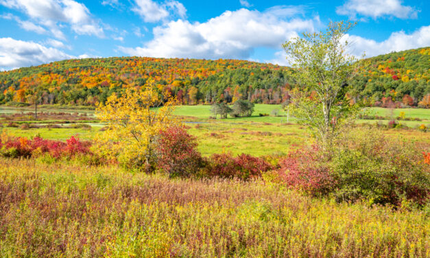 Rise and Shine: Sept. 22, 2025