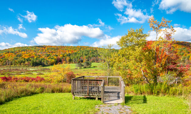 Rise and Shine: Monday, Sept. 15, 2025