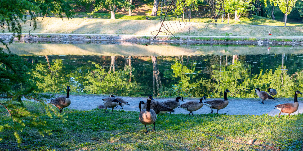 Rise and Shine: Tuesday, Sept. 9, 2025