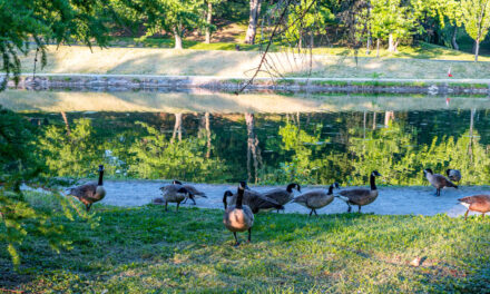 Rise and Shine: Tuesday, Sept. 9, 2025