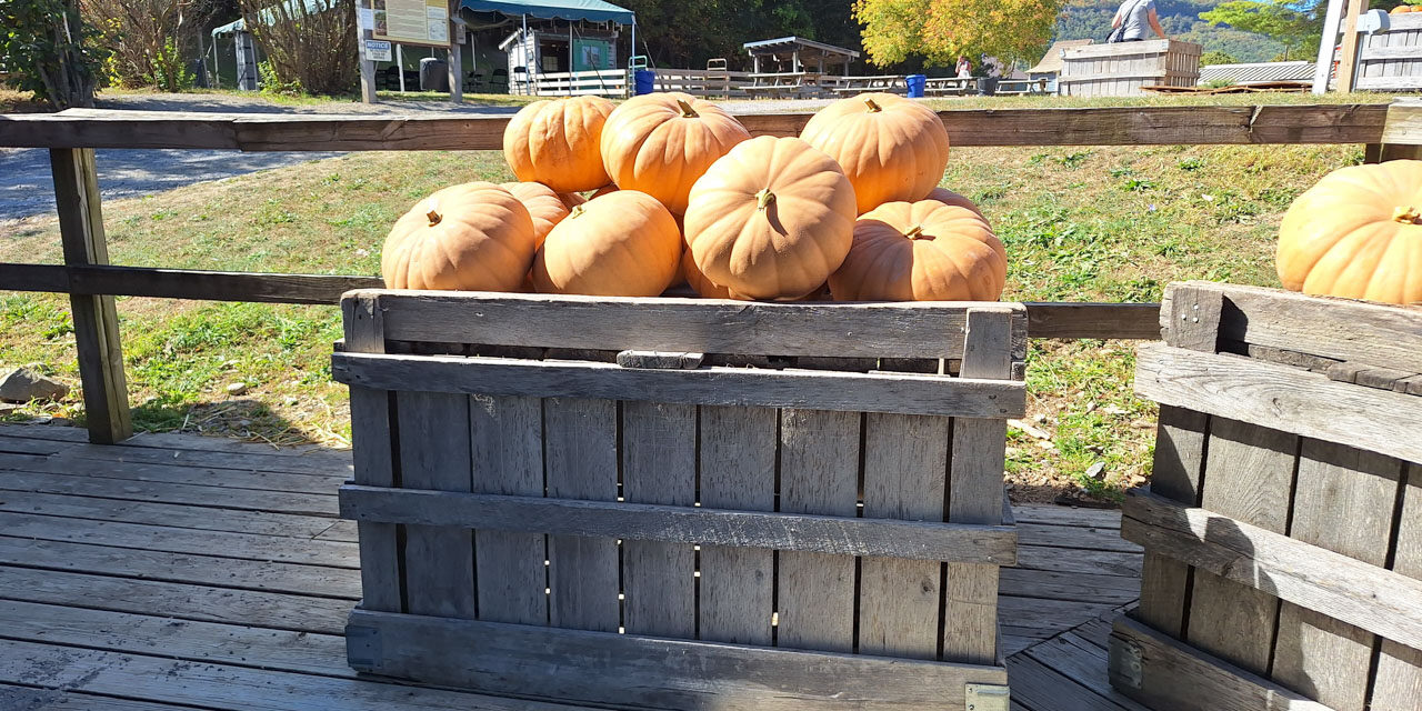 Rise and Shine: Friday, Oct. 3, 2025