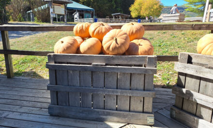 Rise and Shine: Friday, Oct. 3, 2025