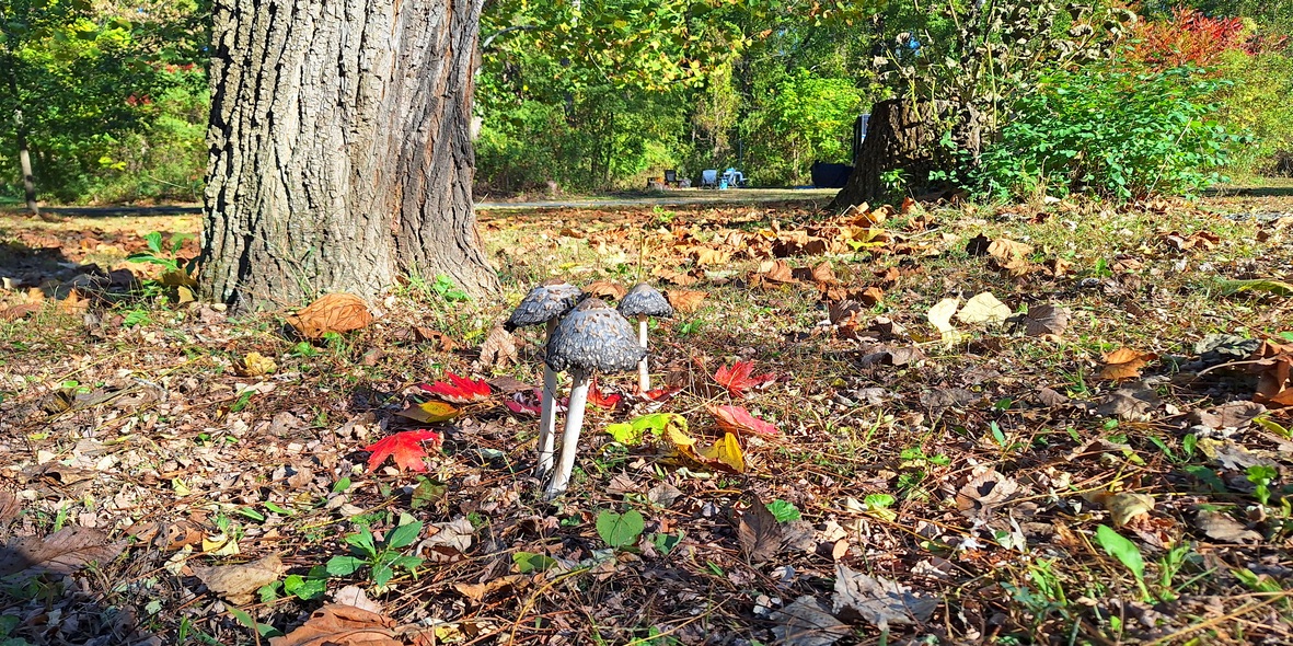 Rise and Shine: Tuesday, Oct. 28, 2025