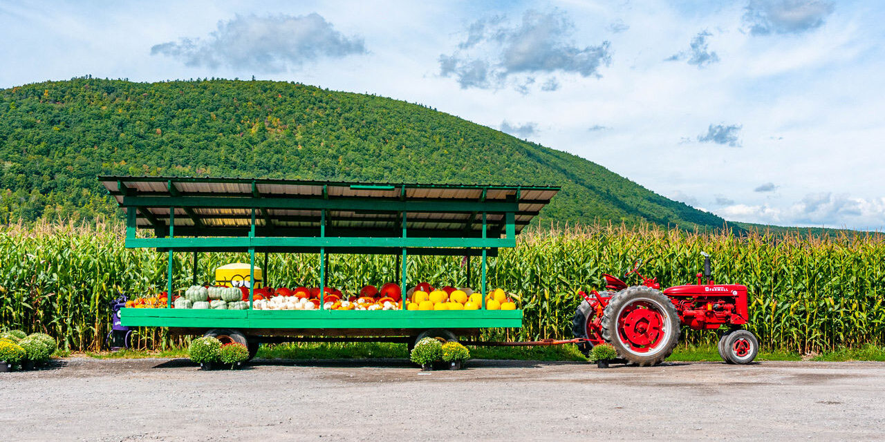 Rise and Shine: Tuesday, Oct. 14, 2025