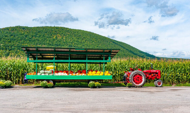 Rise and Shine: Tuesday, Oct. 14, 2025