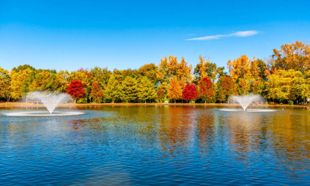 Rise and Shine: Tuesday, Oct. 7, 2025