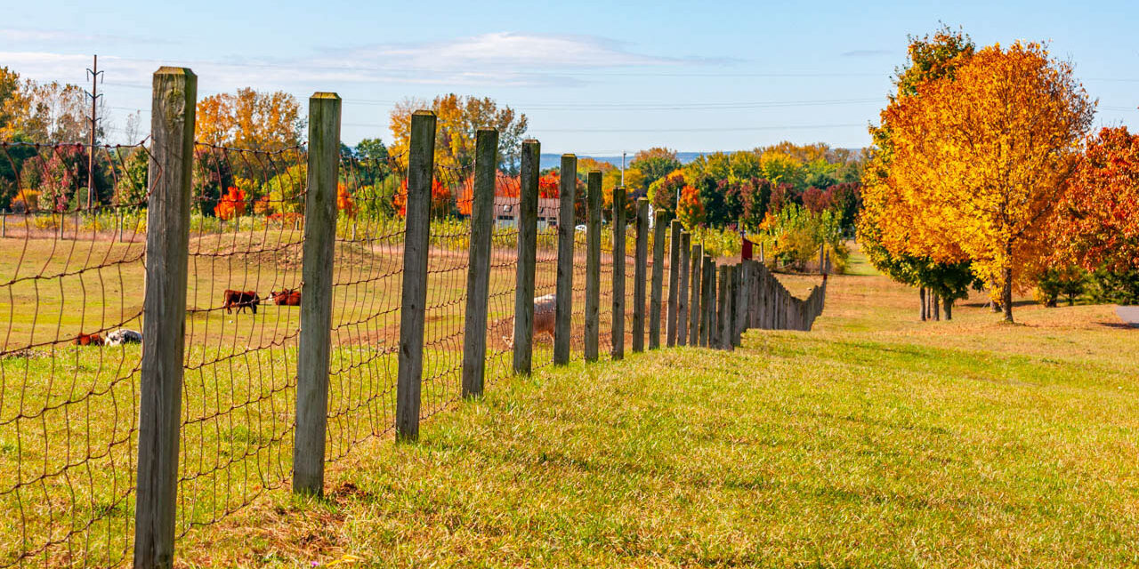 Rise and Shine: Friday, Oct. 17, 2025