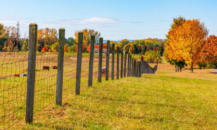 Rise and Shine: Friday, Oct. 17, 2025