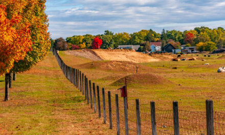 Rise and Shine: Tuesday, Oct. 21, 2025