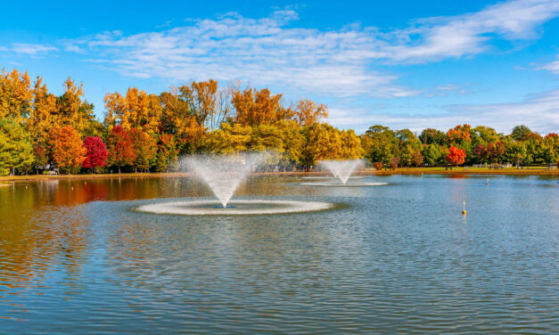 Rise and Shine: Thursday, Oct. 23, 2025