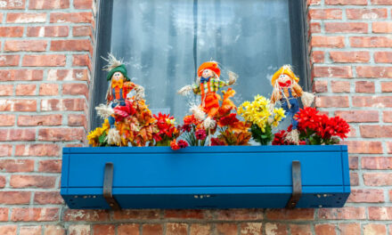 Rise and Shine: Monday, Oct. 20, 2025