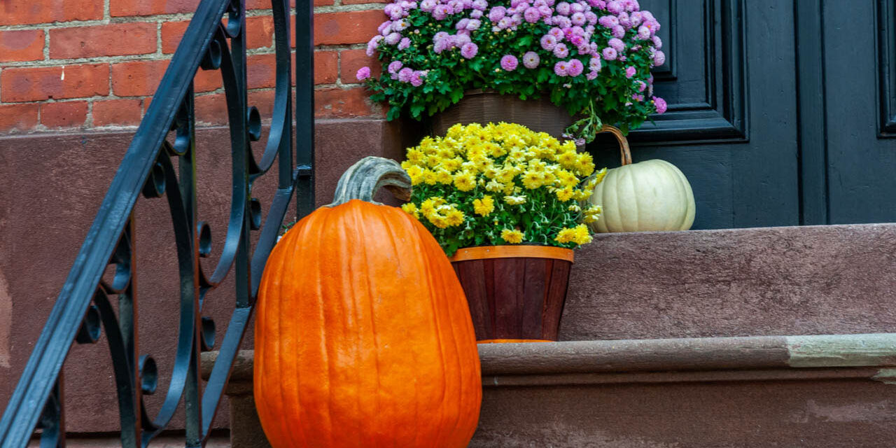 Rise and Shine: Friday, October. 24, 2025