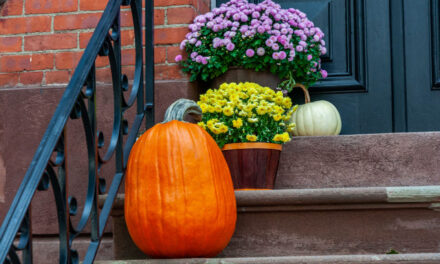 Rise and Shine: Friday, October. 24, 2025