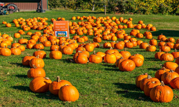 Rise and Shine: Wednesday, Oct. 29, 2025