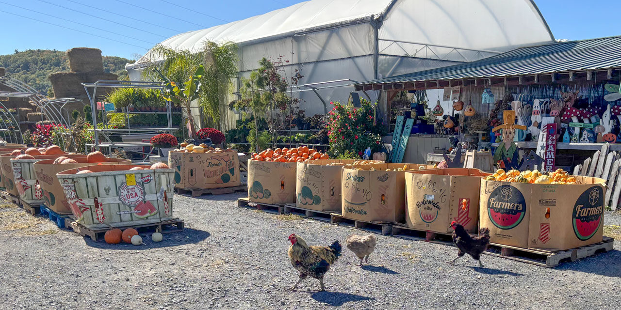 Rise and Shine: Wednesday, Oct. 8, 2025