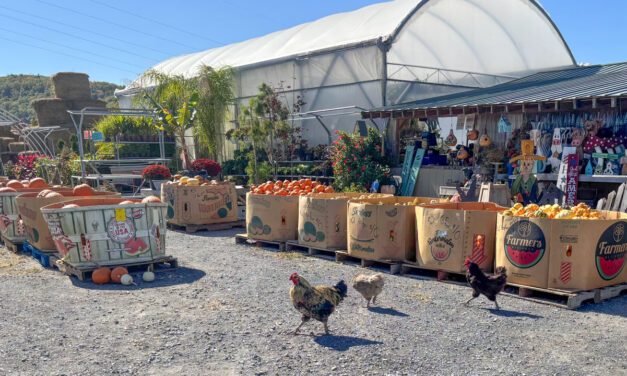 Rise and Shine: Wednesday, Oct. 8, 2025