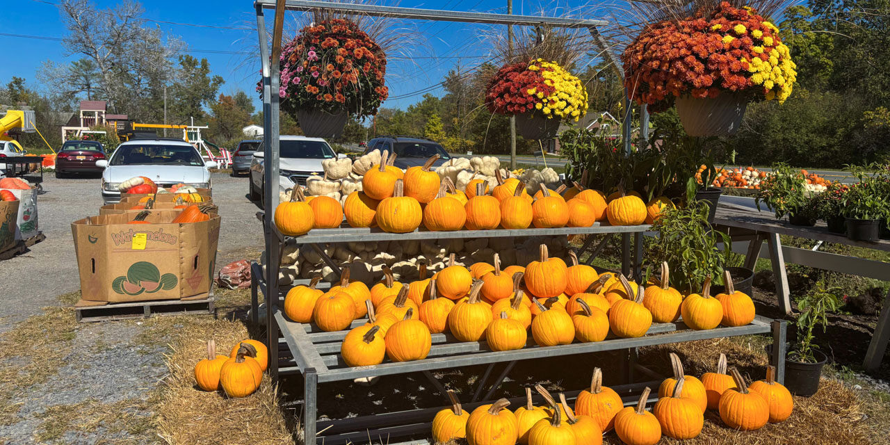 Rise and Shine: Friday, Oct. 10, 2025