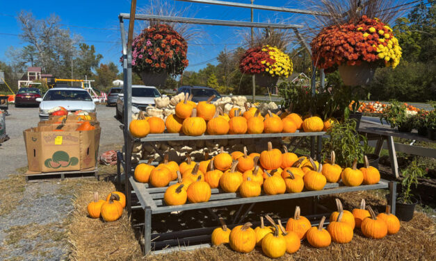 Rise and Shine: Friday, Oct. 10, 2025