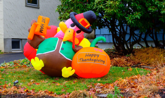 Rise and Shine: Wednesday, Nov. 26, 2025