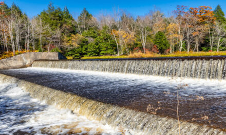 Rise and Shine: Tuesday, Nov. 5, 2025