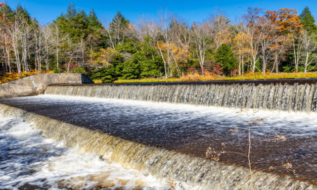 Rise and Shine: Tuesday, Nov. 5, 2025