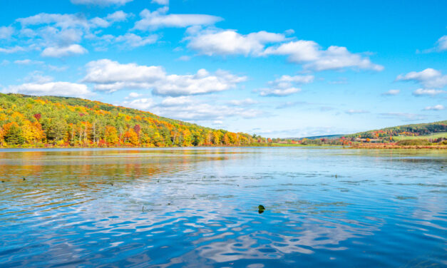 Rise and Shine: Monday, Nov. 10, 2025