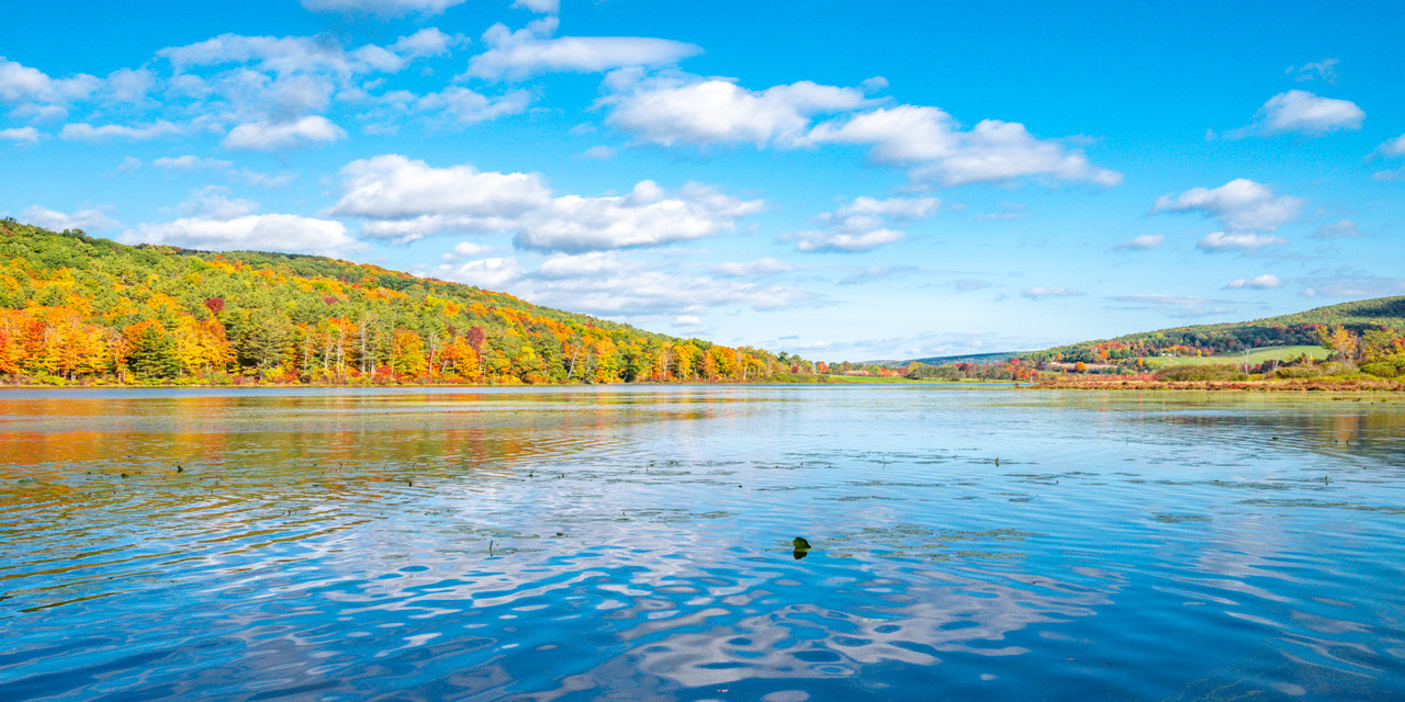 Rise and Shine: Monday, Nov. 10, 2025