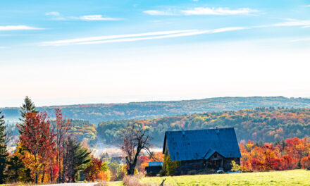 Rise and Shine: Friday, Nov. 7, 2025