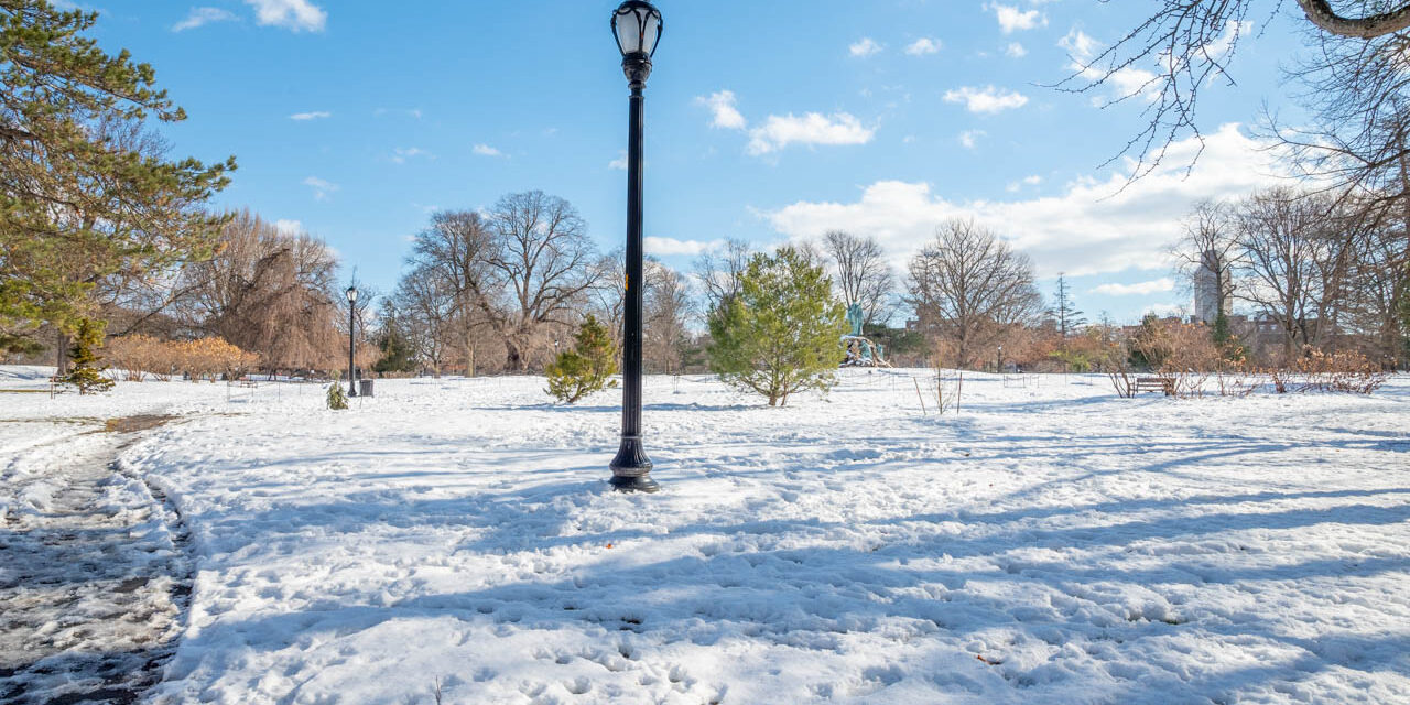 Rise and Shine: Tuesday, Nov. 18, 2025