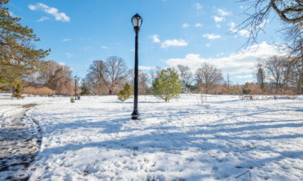 Rise and Shine: Tuesday, Nov. 18, 2025