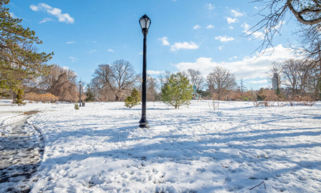 Rise and Shine: Tuesday, Nov. 18, 2025