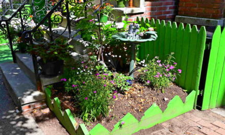 Rise and Shine: Thursday, Nov. 6, 2025