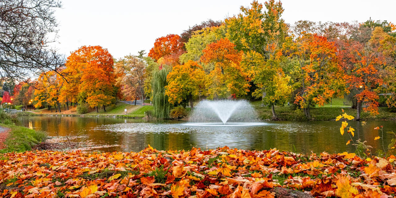 Rise and Shine: Tuesday, Nov. 11, 2025