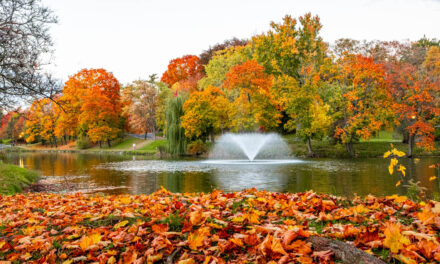 Rise and Shine: Tuesday, Nov. 11, 2025