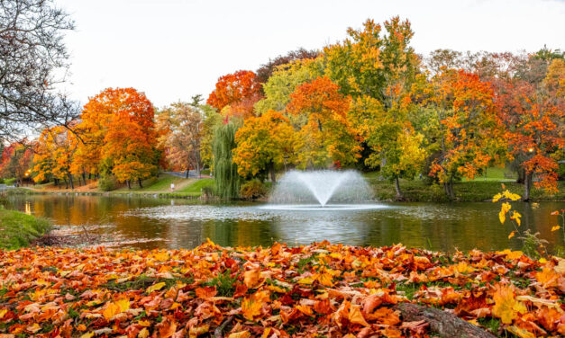 Rise and Shine: Tuesday, Nov. 11, 2025