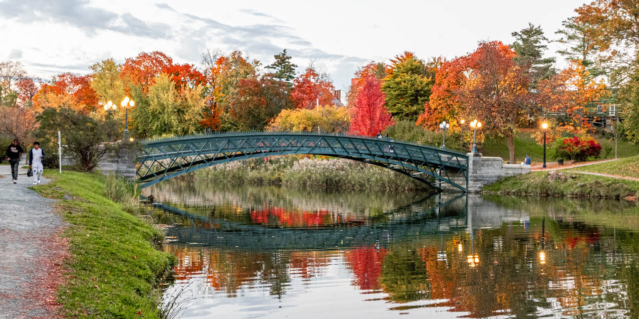 Rise and Shine: Wednesday, Nov. 5, 2025