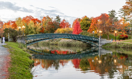 Rise and Shine: Wednesday, Nov. 5, 2025